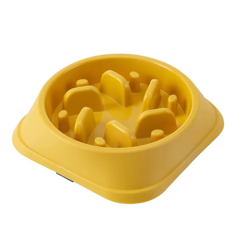 Non-Slip Slow Feeder Bowl