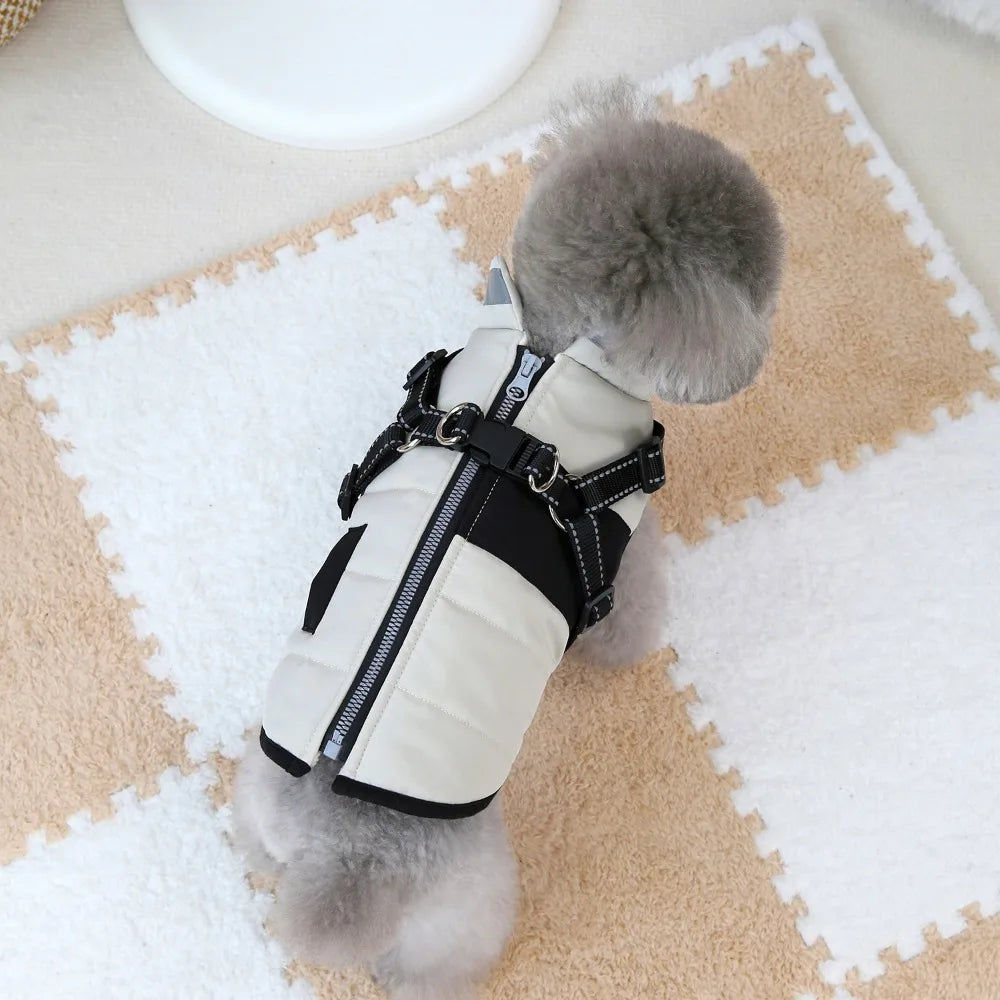 Windproof Harness Dog Jacket