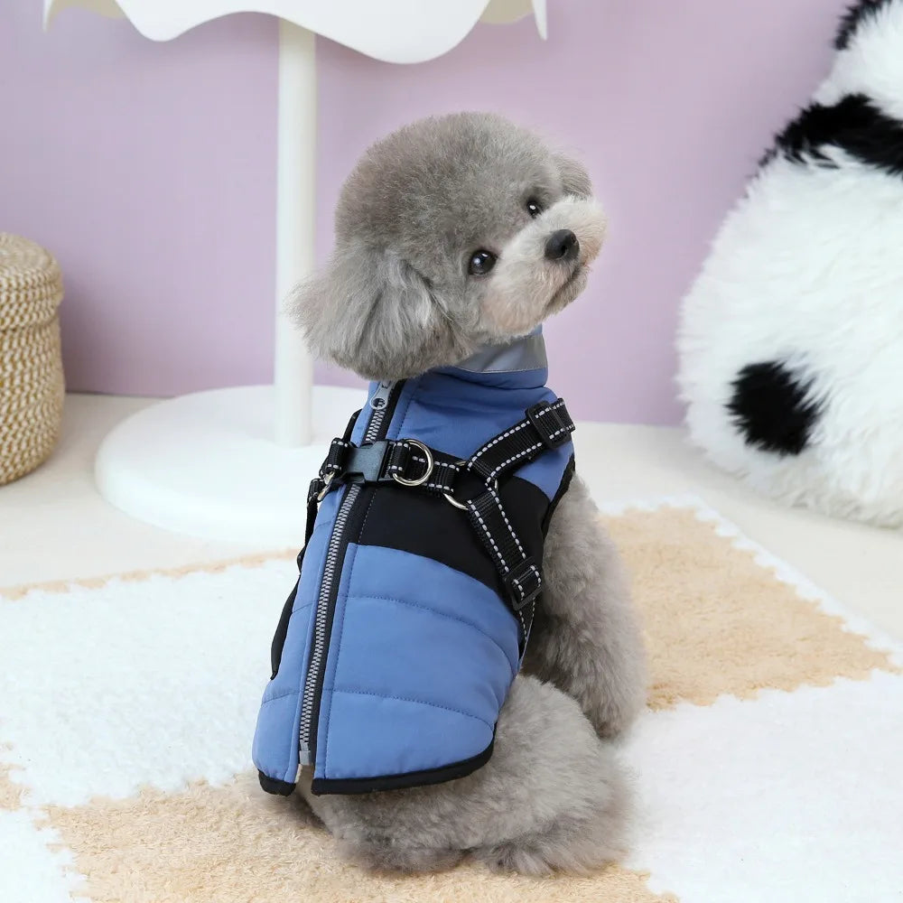 Windproof Harness Dog Jacket