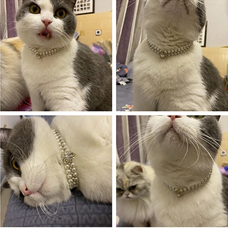 Jeweled Pearl Cat Collar