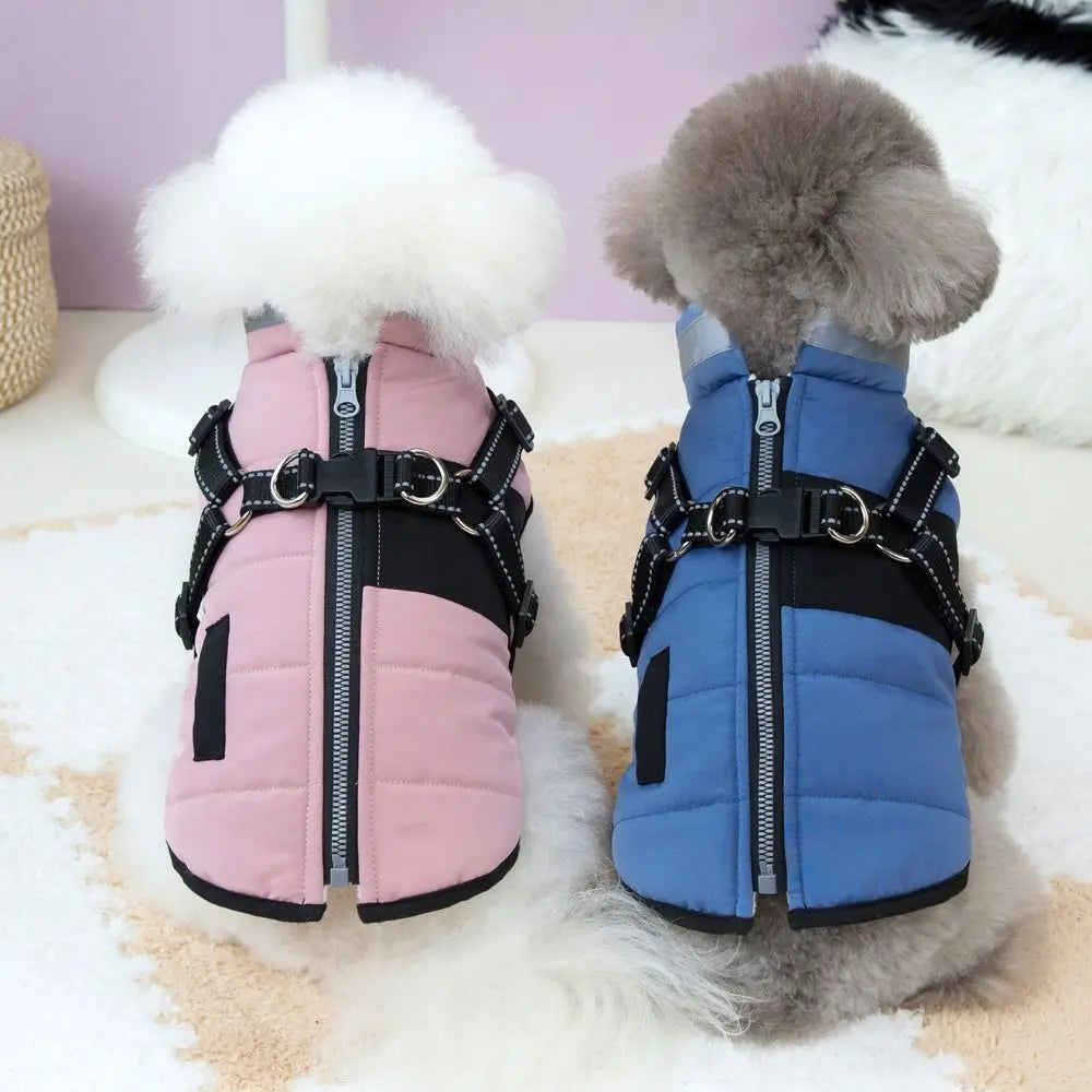 Windproof Harness Dog Jacket