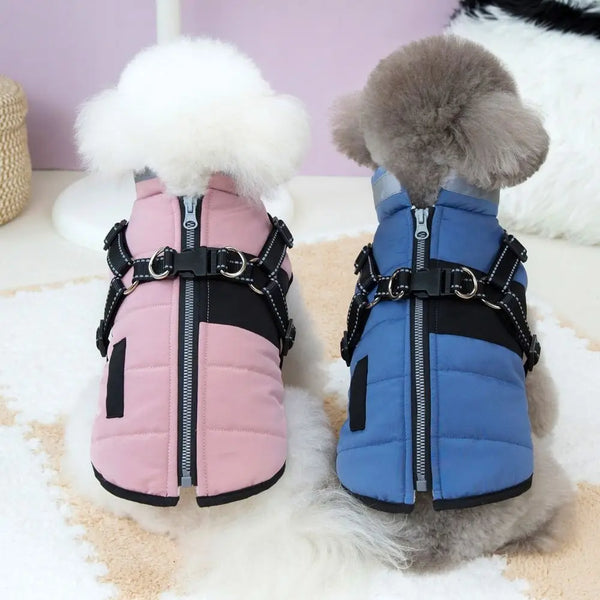 Windproof Harness Dog Jacket