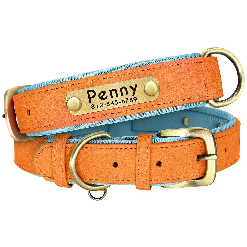 Personalized Padded Leather Dog Collar