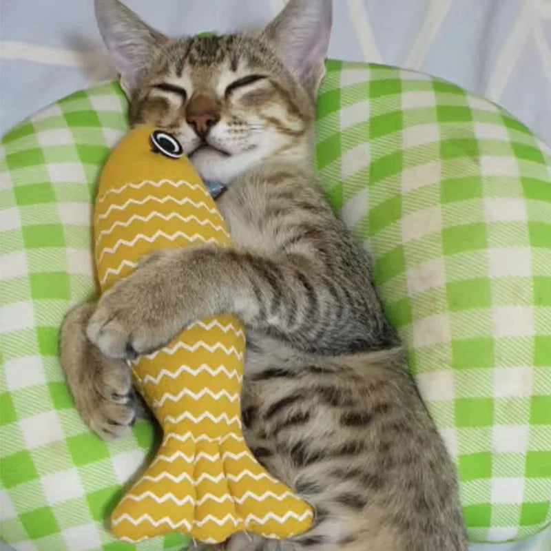 Interactive Fish Catnip Toy