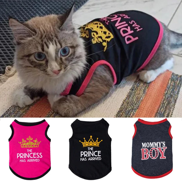 Mesh Sphynx Summer Vest
