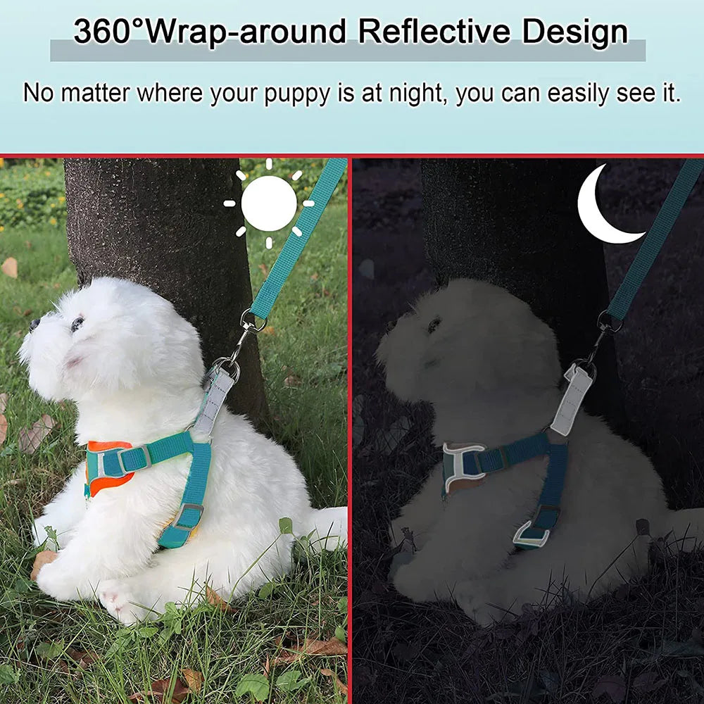 Reflective Step In Harness
