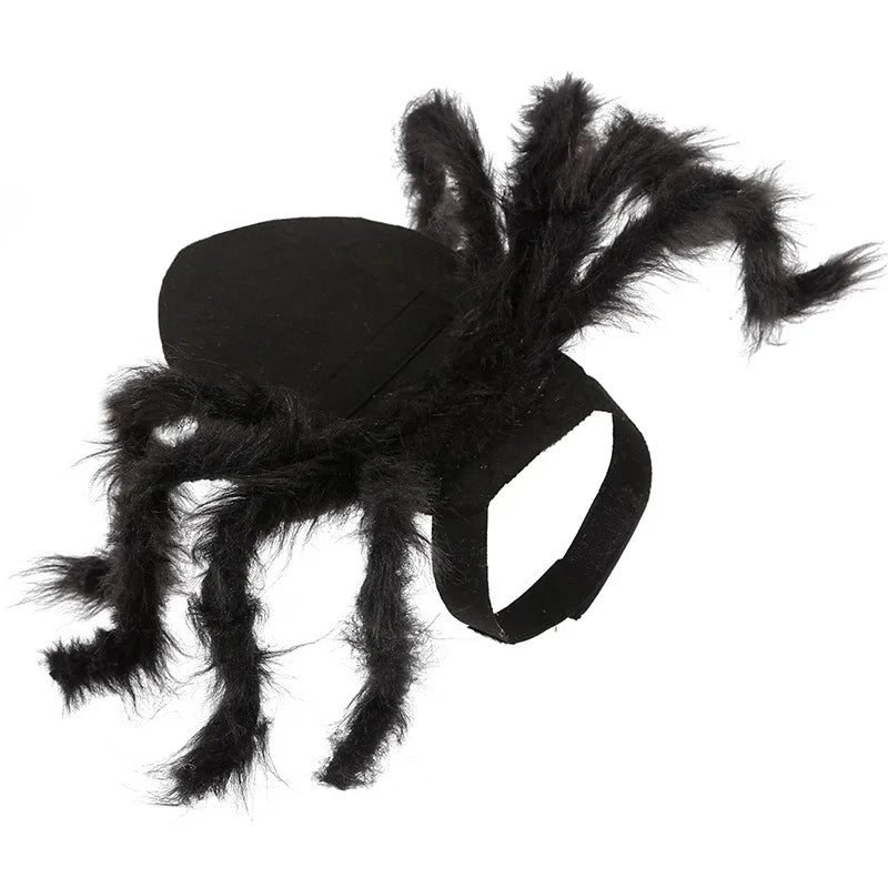 Spider Halloween Pet Costume
