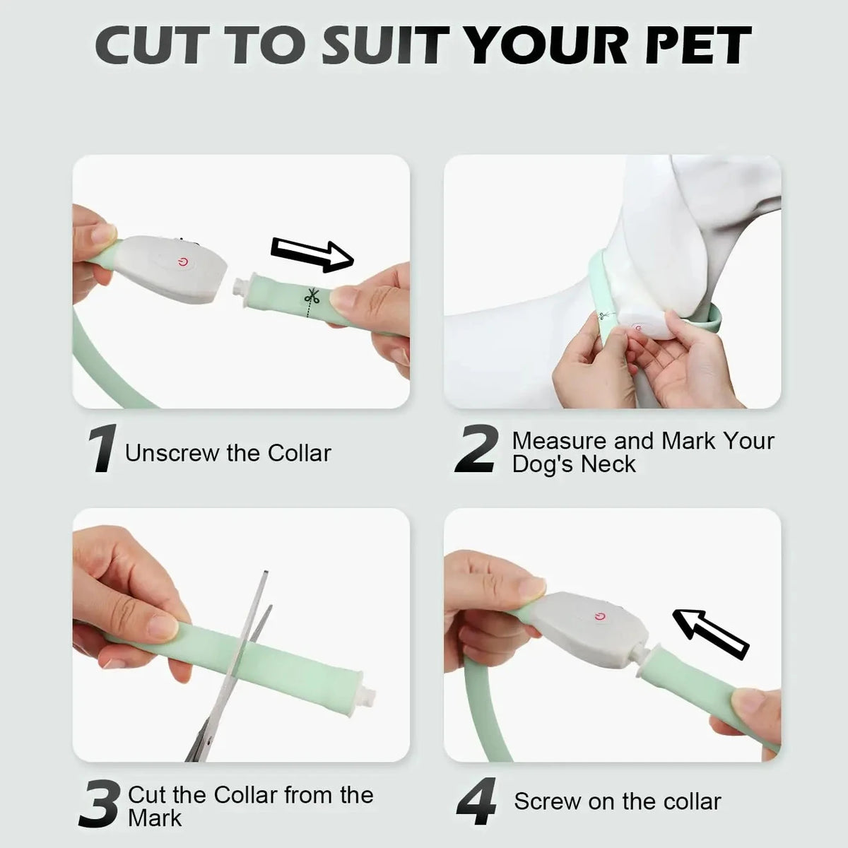 USB Rechargeable LED Dog Collar