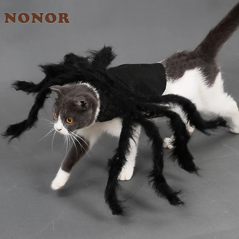 Spider Halloween Pet Costume