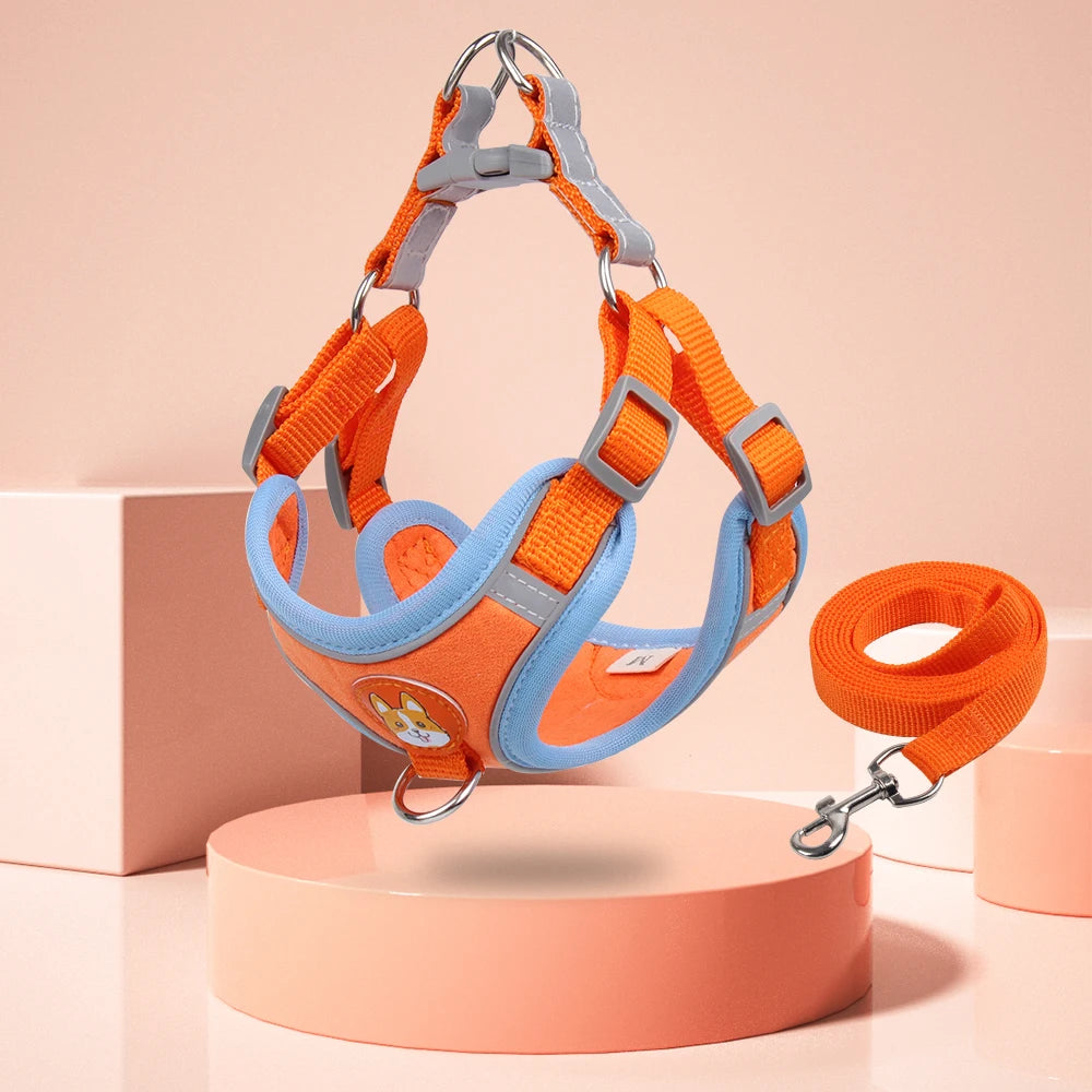 Reflective Step In Harness