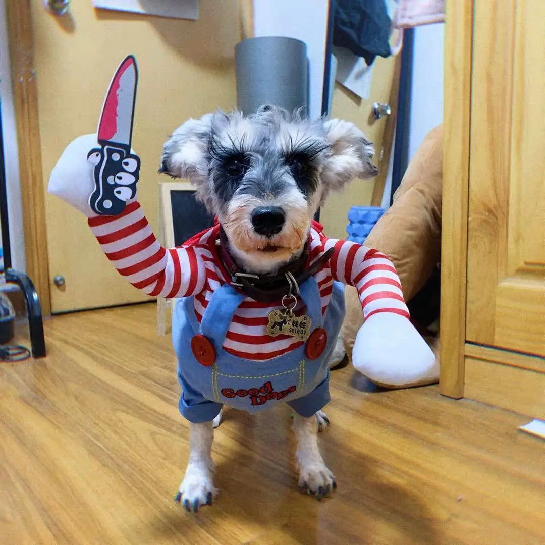 Striped Halloween Dog Costume