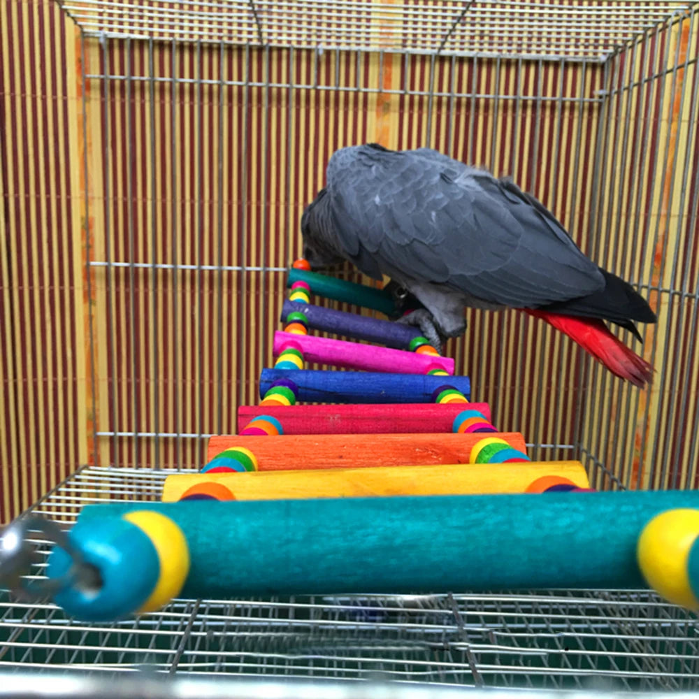 Colorful 12-Step Bird Ladder