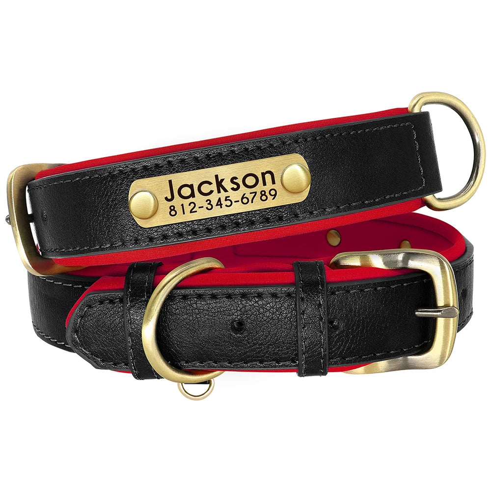 Personalized Padded Leather Dog Collar