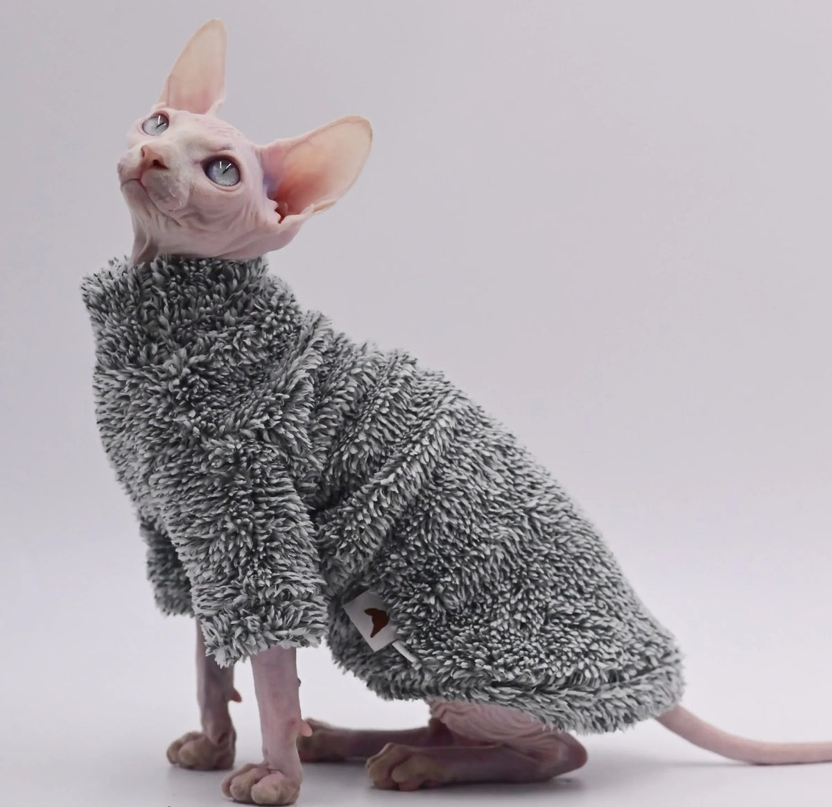 Fluffy Sphynx Winter Jacket