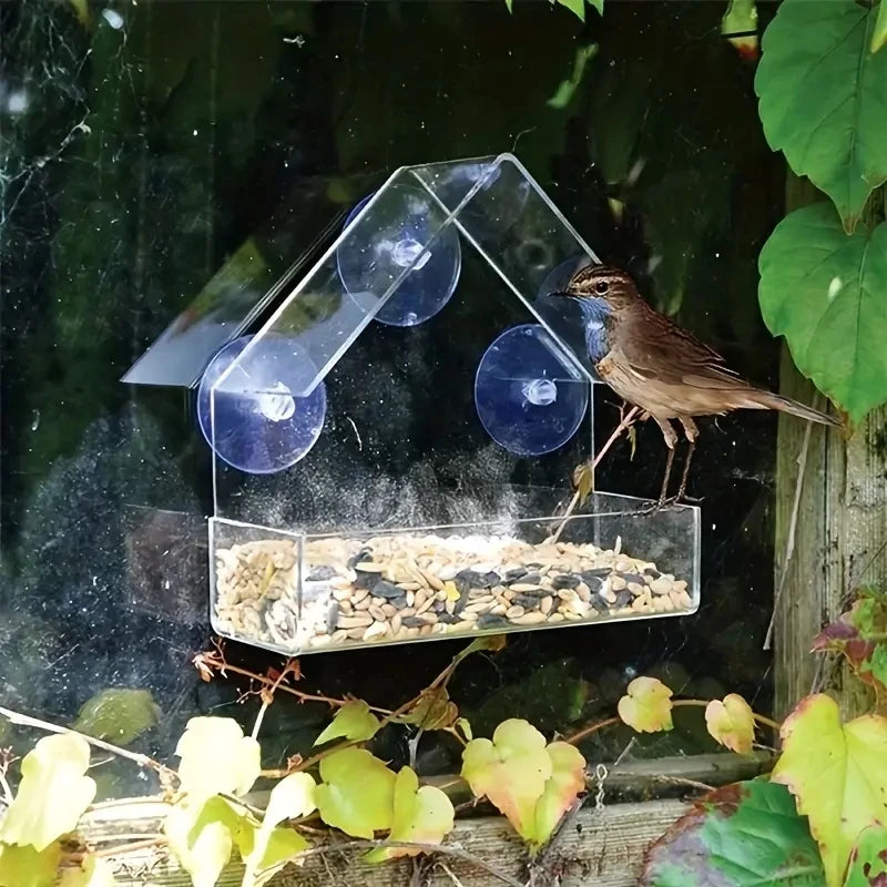 Acrylic Suction Window Bird Feeder