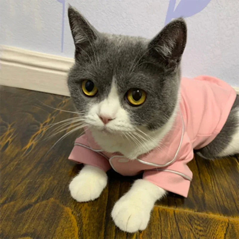 Christmas Sphynx Hoodie Costume