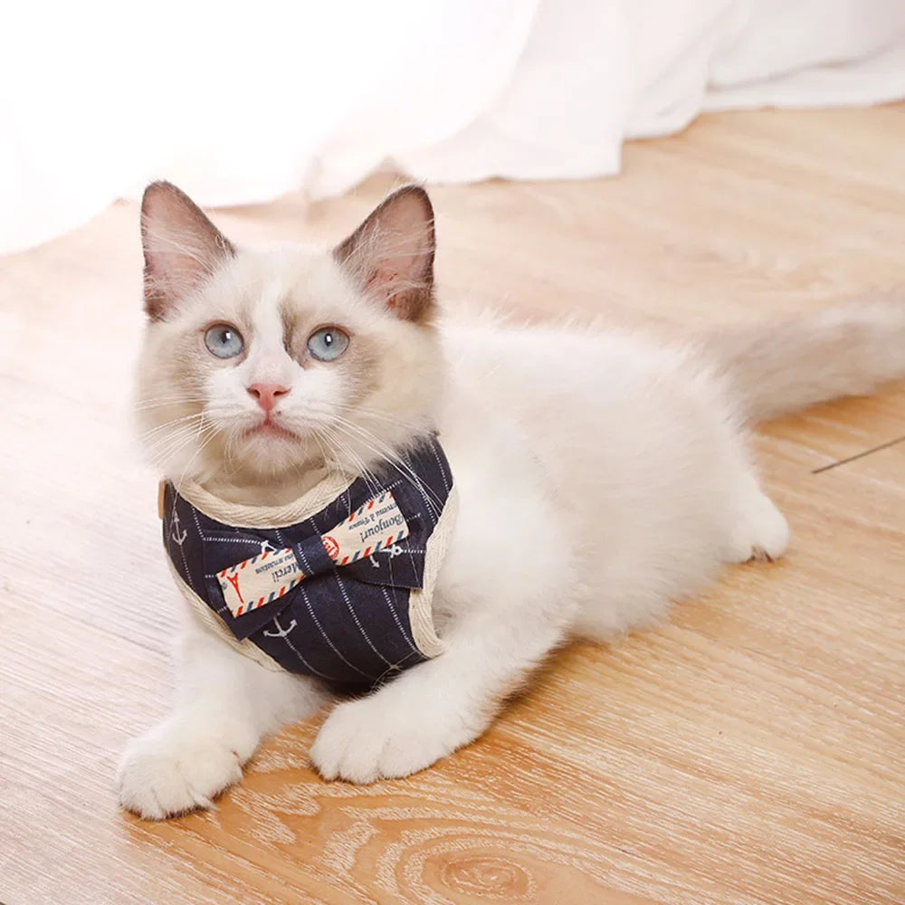 Padded Nylon Harness Set