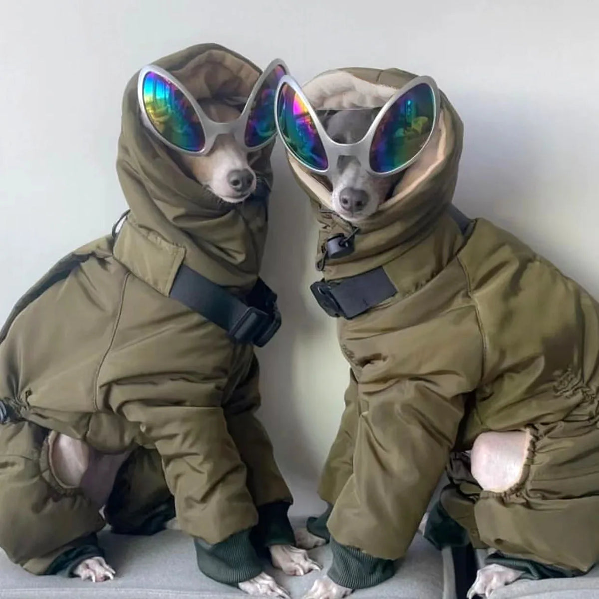 Thickened Winter Dog Jacket