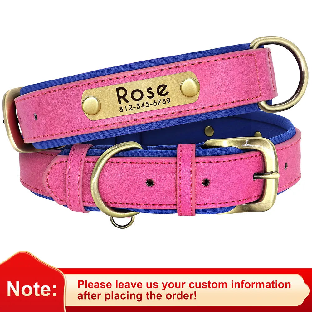 Personalized Padded Leather Dog Collar