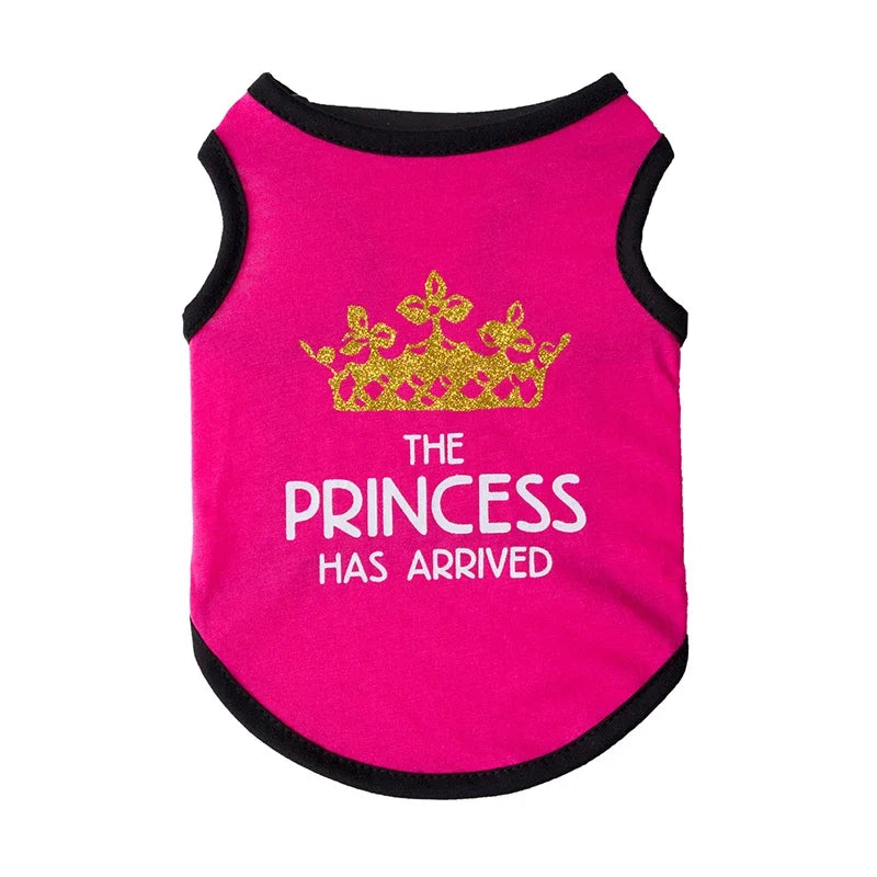 Mesh Sphynx Summer Vest