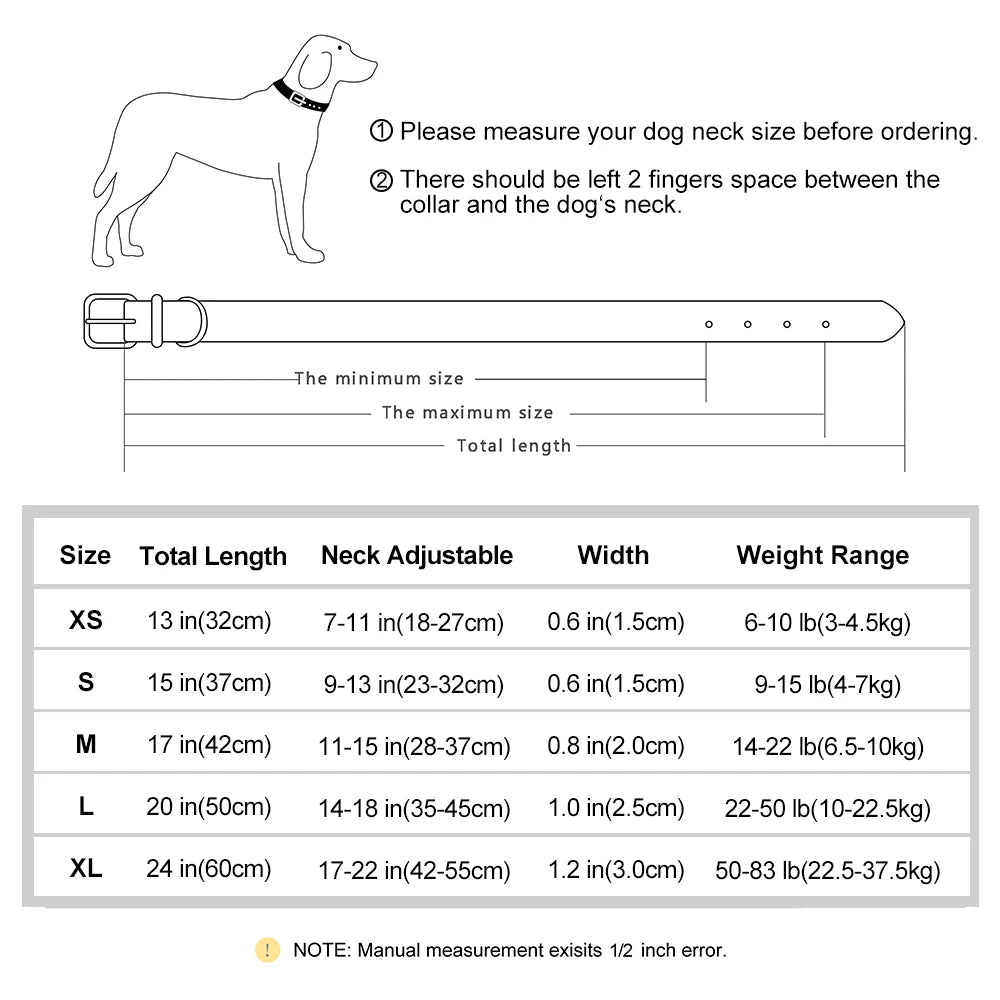 Personalized Padded Leather Dog Collar