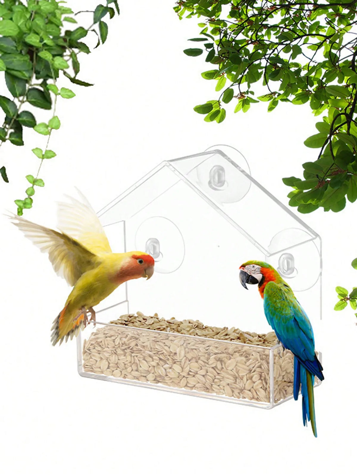 Acrylic Suction Window Bird Feeder