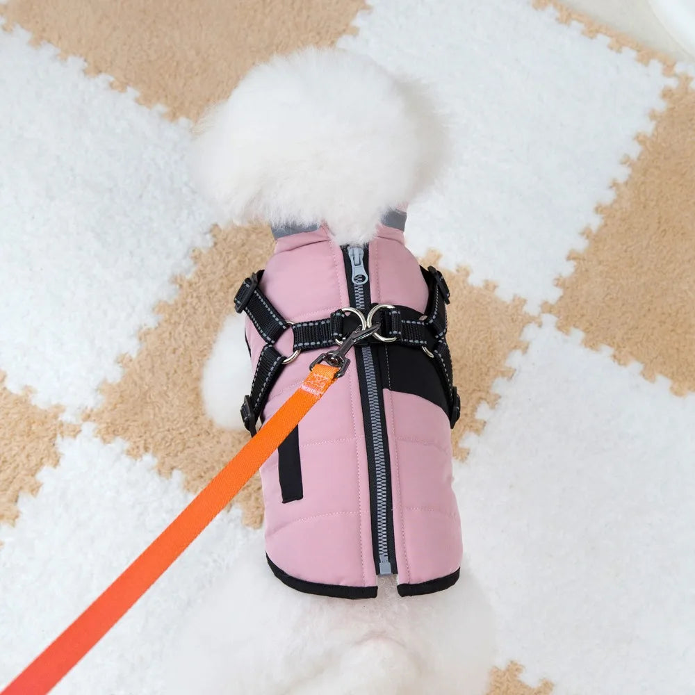 Windproof Harness Dog Jacket