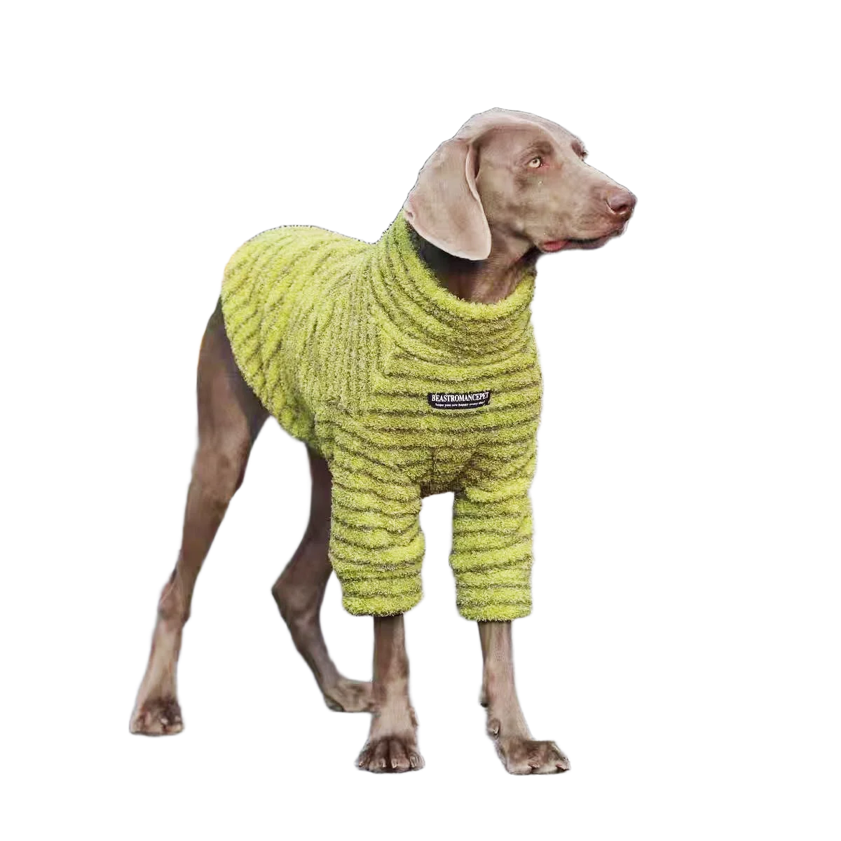 Striped Turtleneck Dog Sweater