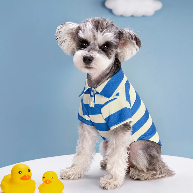 Striped Summer Dog Polo
