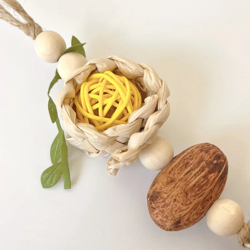 Pinecone Rope Bird Chew Toy