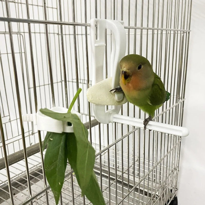 Parrot Fruit Feeding Clip