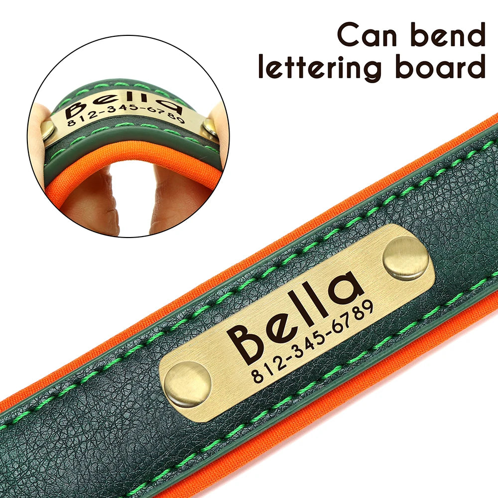 Personalized Padded Leather Dog Collar