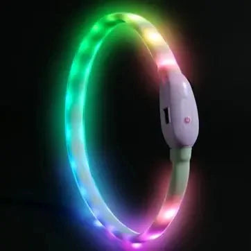 USB Rechargeable LED Dog Collar