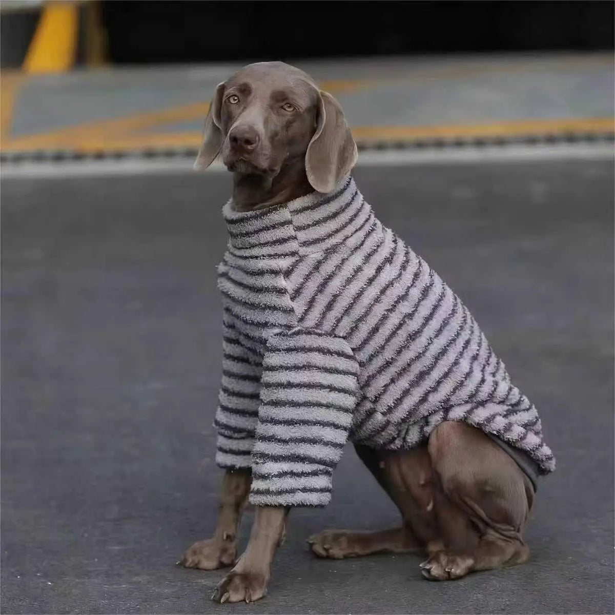 Striped Turtleneck Dog Sweater