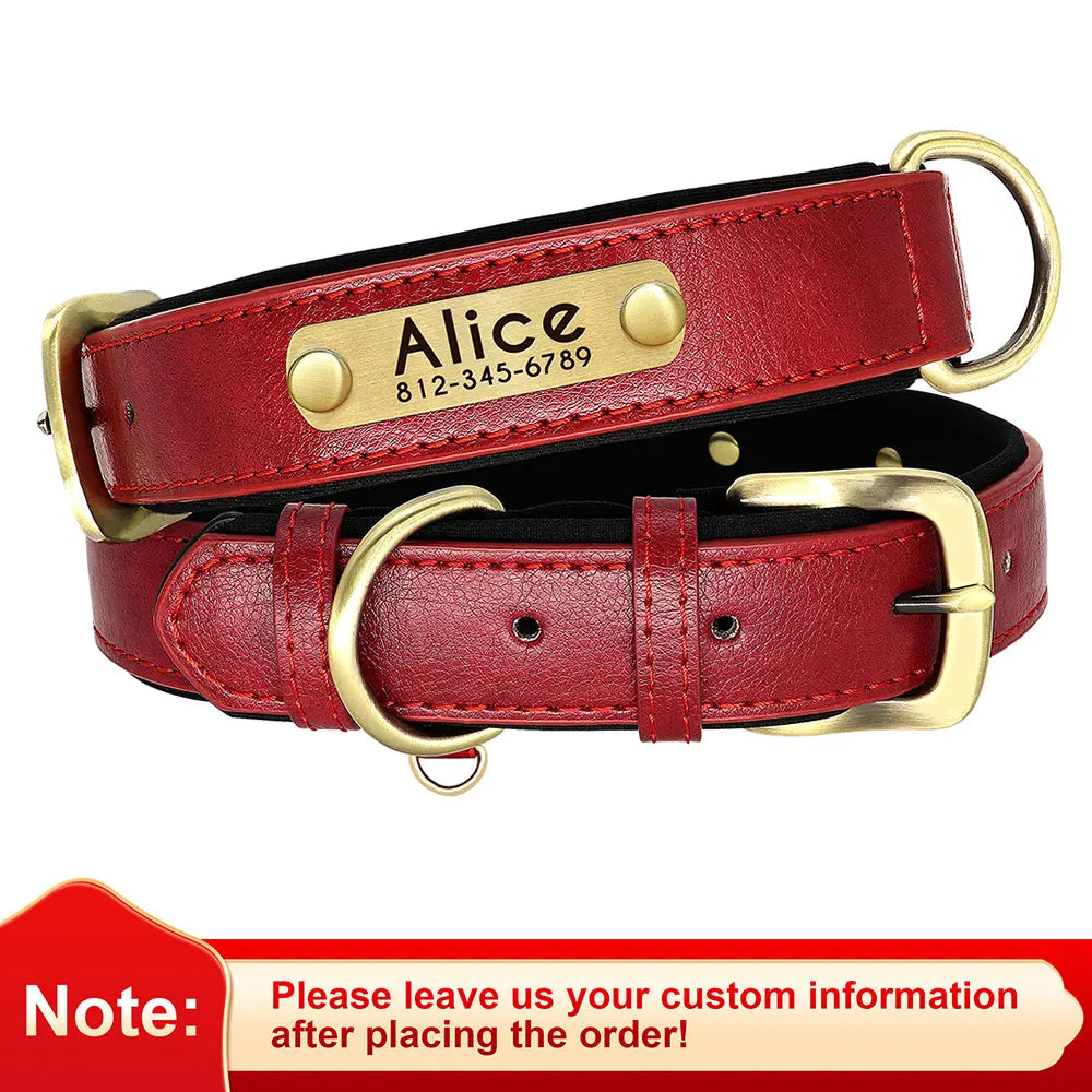 Personalized Padded Leather Dog Collar